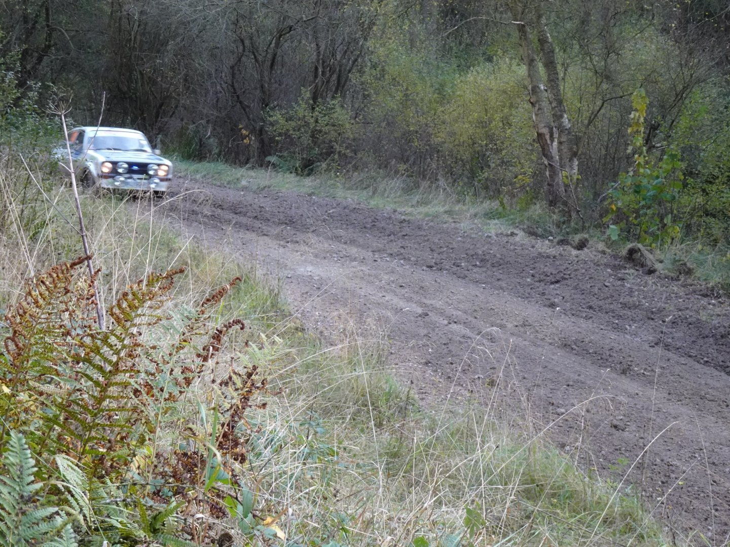 Selby and District Motor Club
