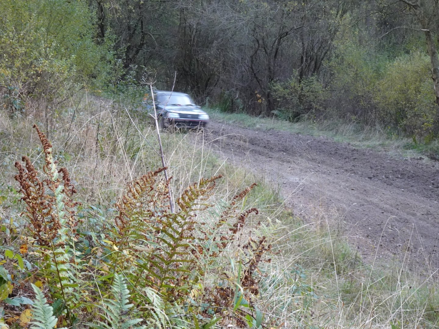 Selby and District Motor Club
