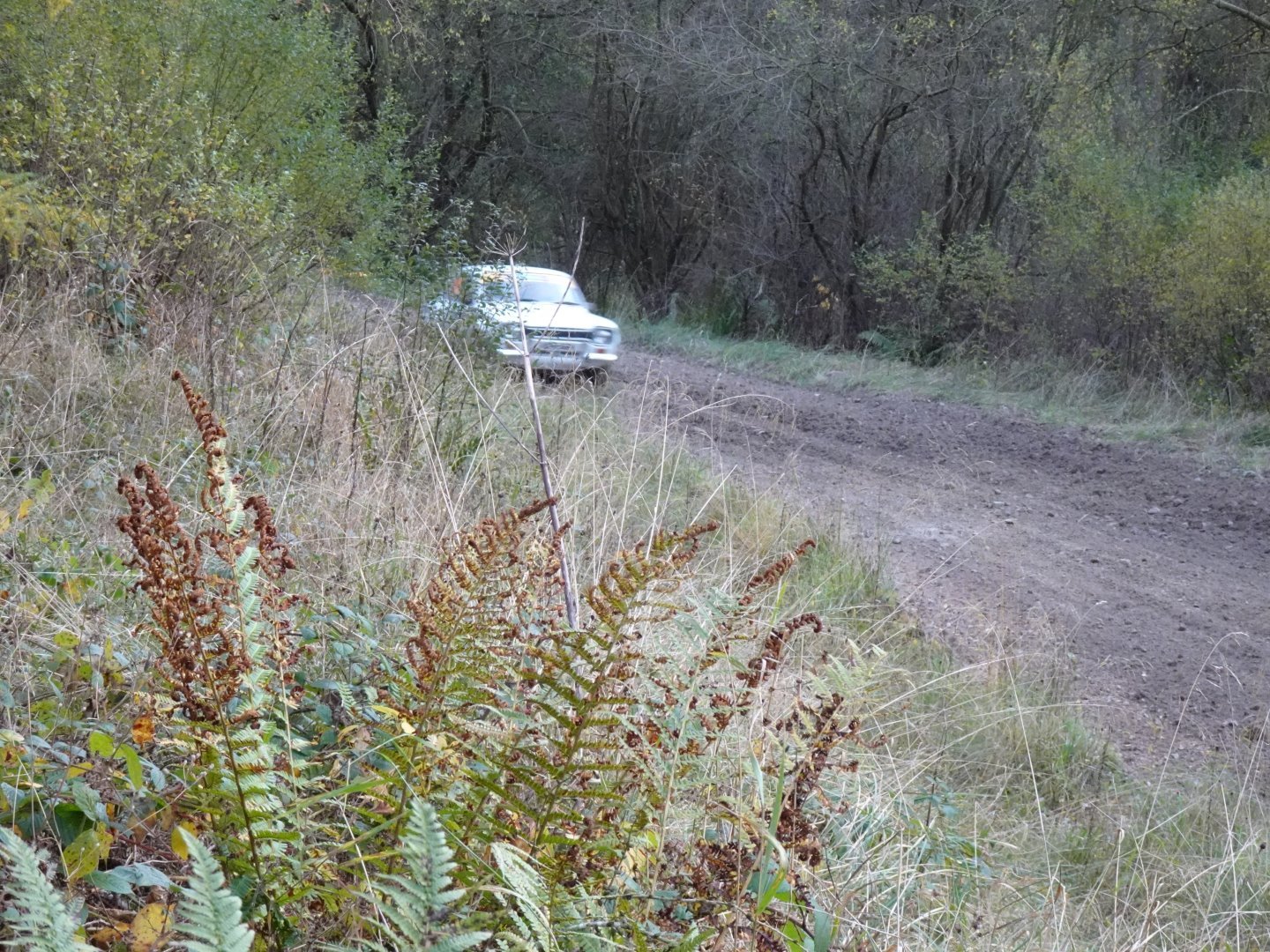 Selby and District Motor Club