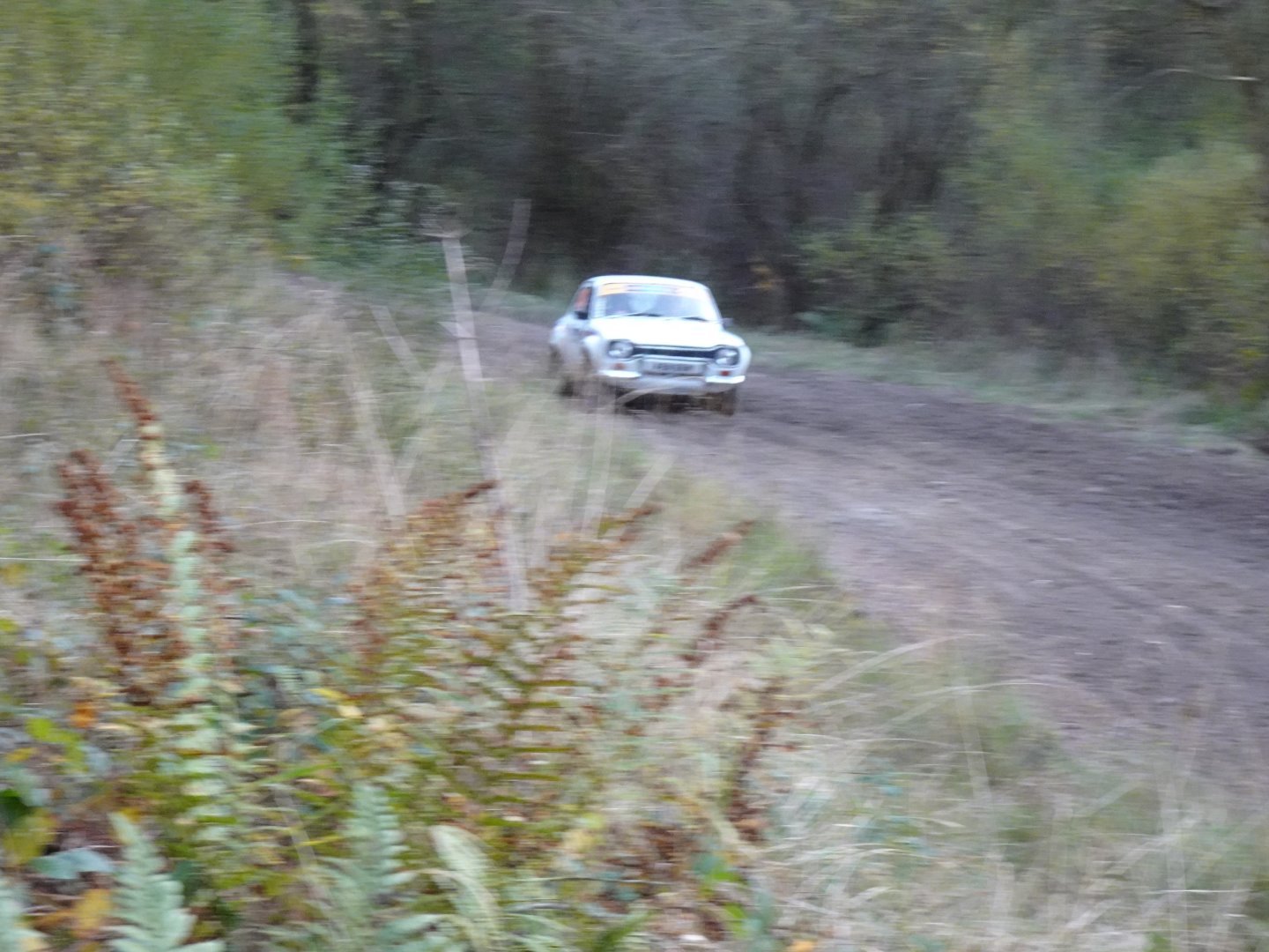 Selby and District Motor Club