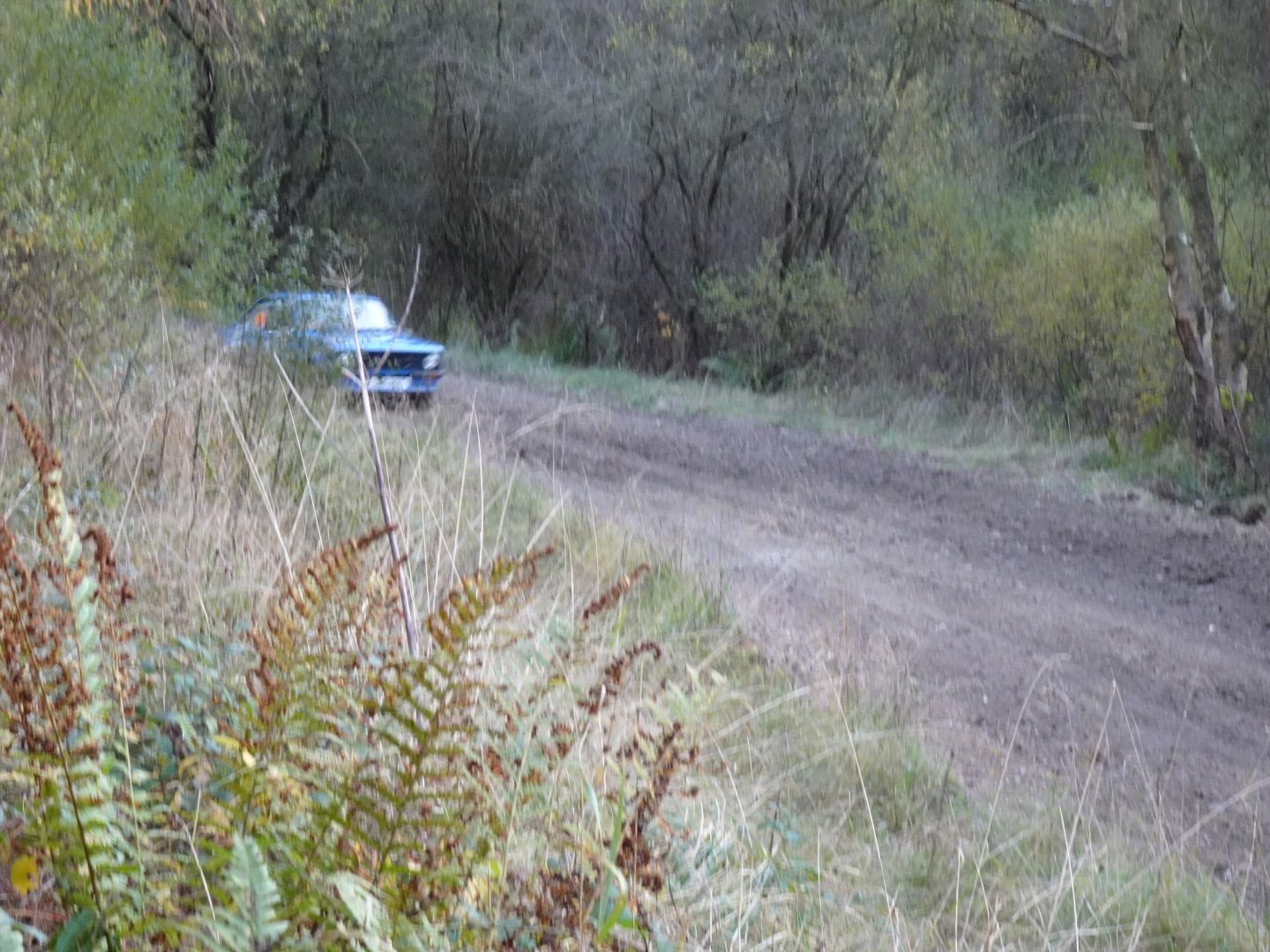 Selby and District Motor Club
