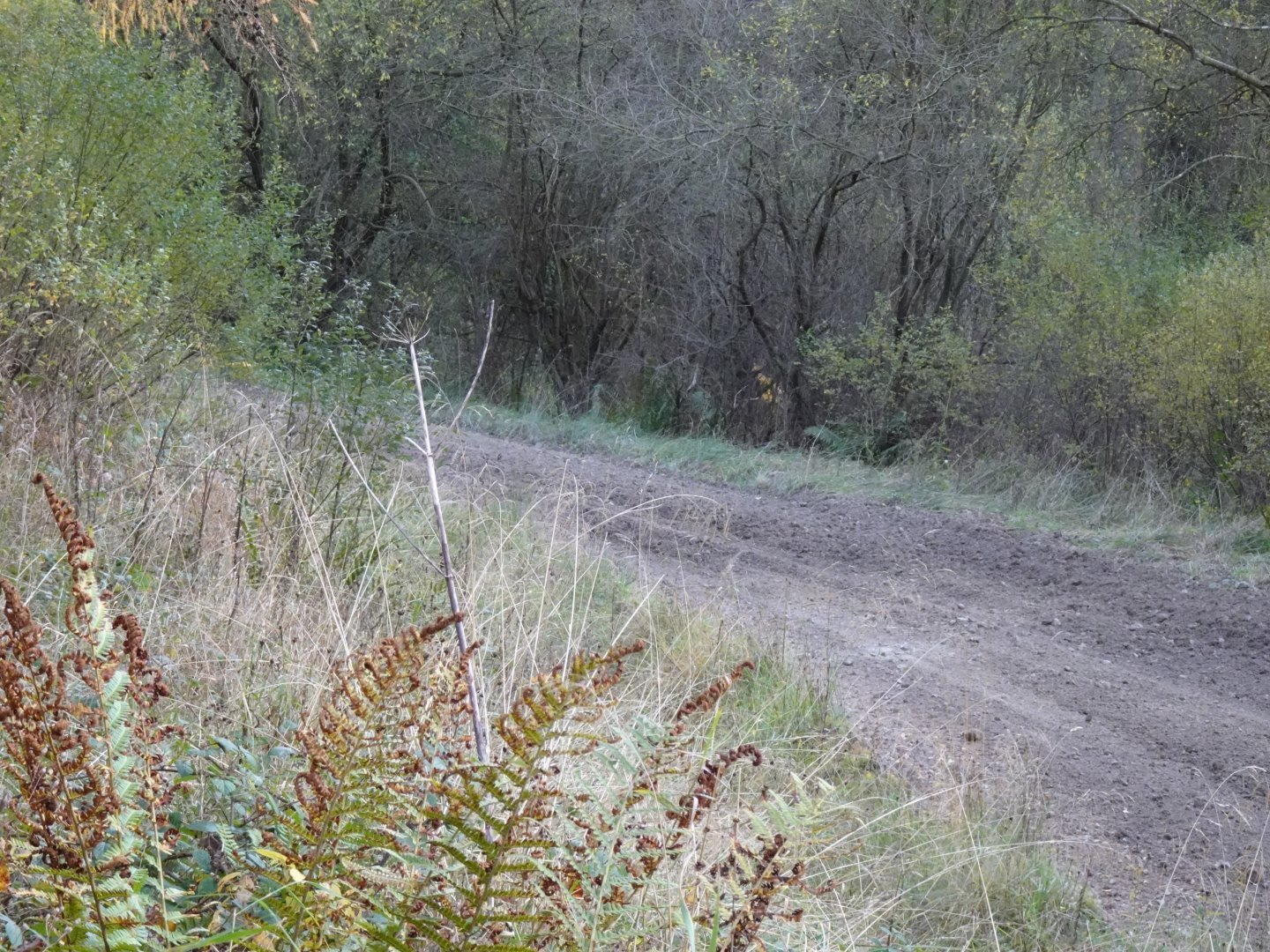 Selby and District Motor Club