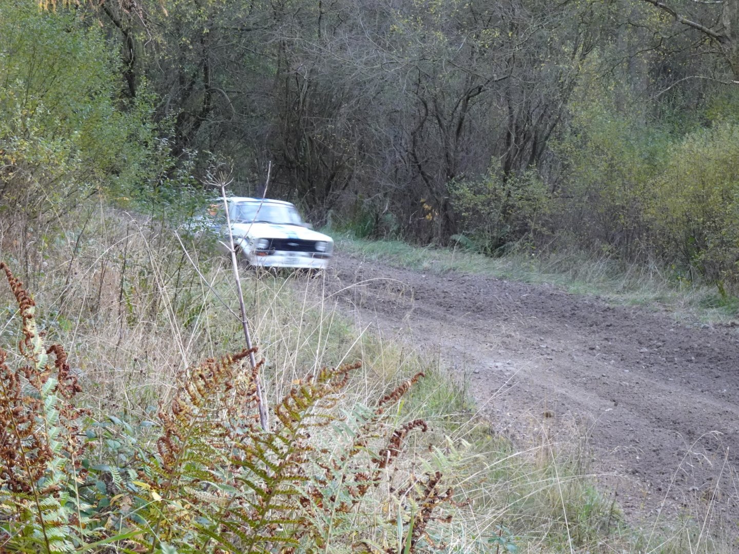Selby and District Motor Club