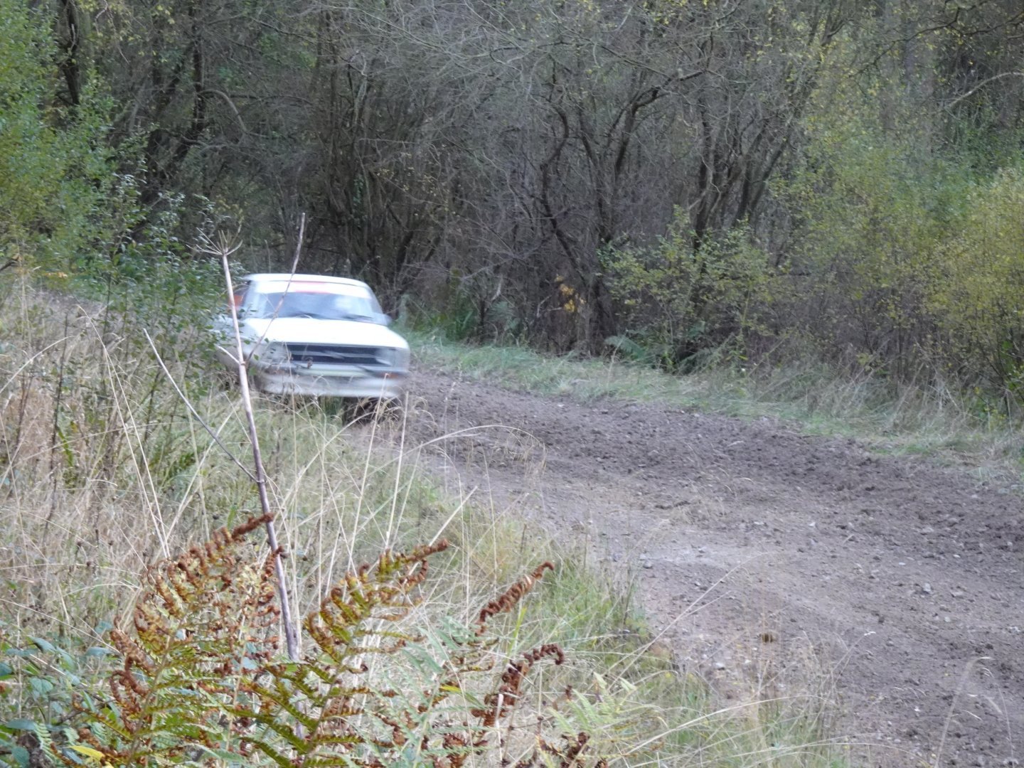 Selby and District Motor Club