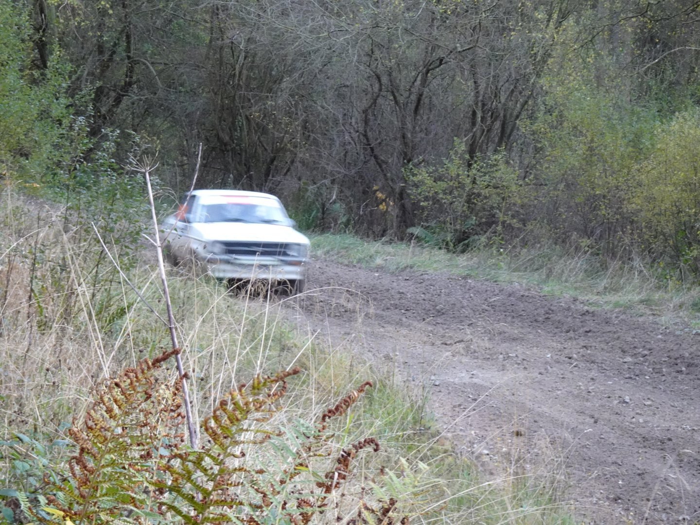 Selby and District Motor Club
