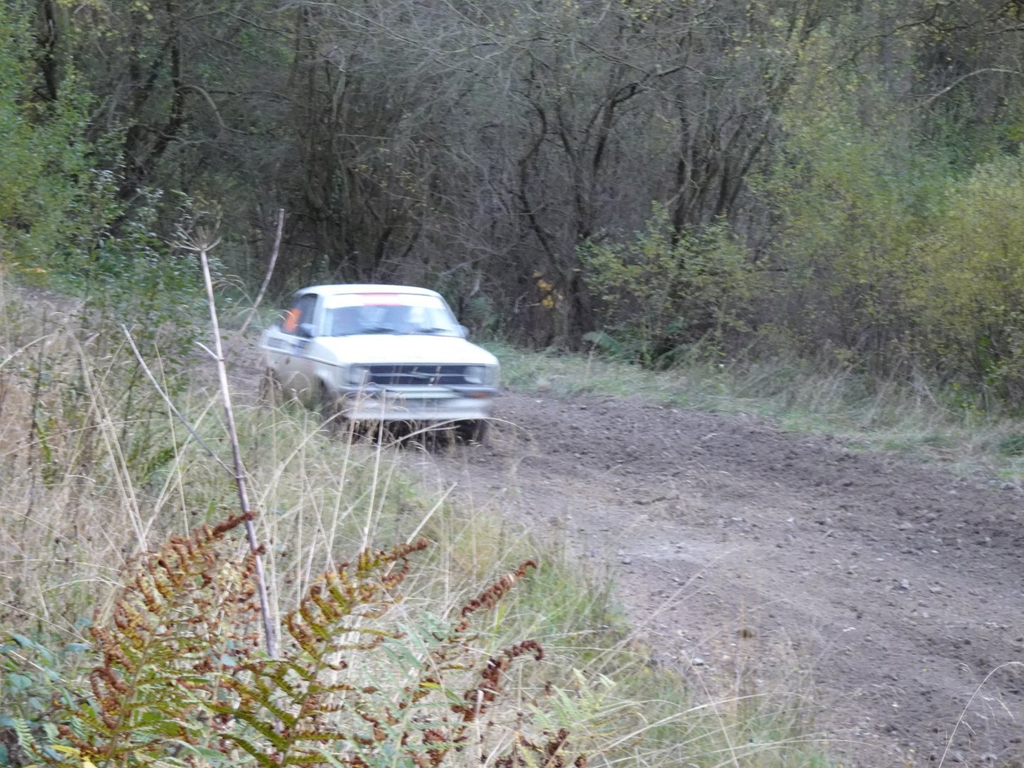 Selby and District Motor Club
