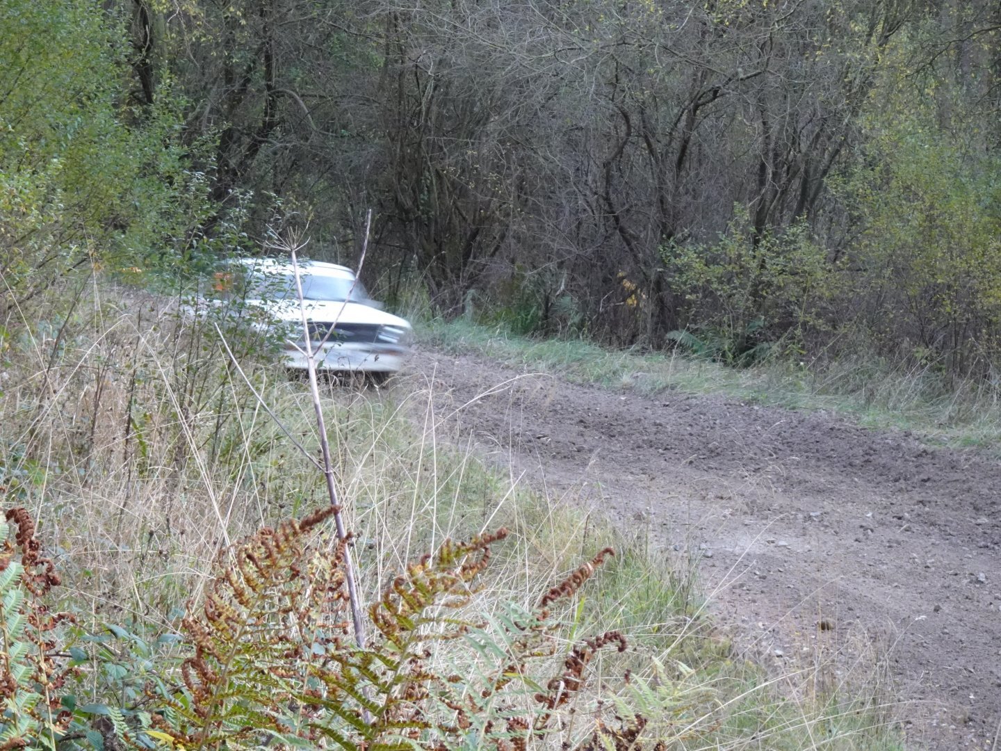 Selby and District Motor Club