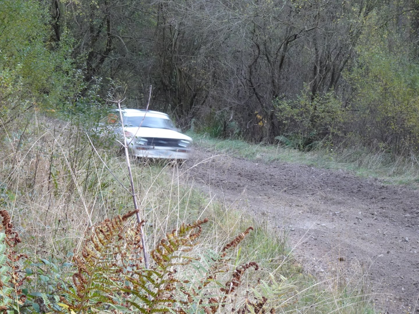 Selby and District Motor Club