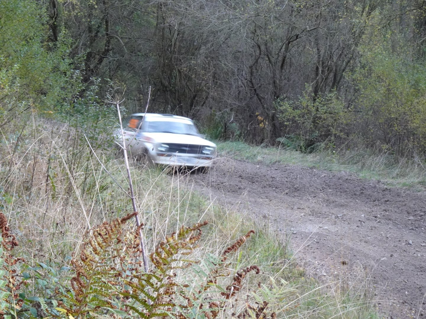 Selby and District Motor Club