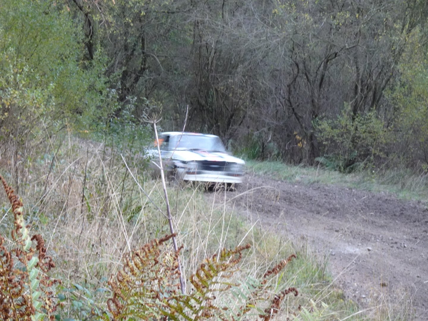 Selby and District Motor Club