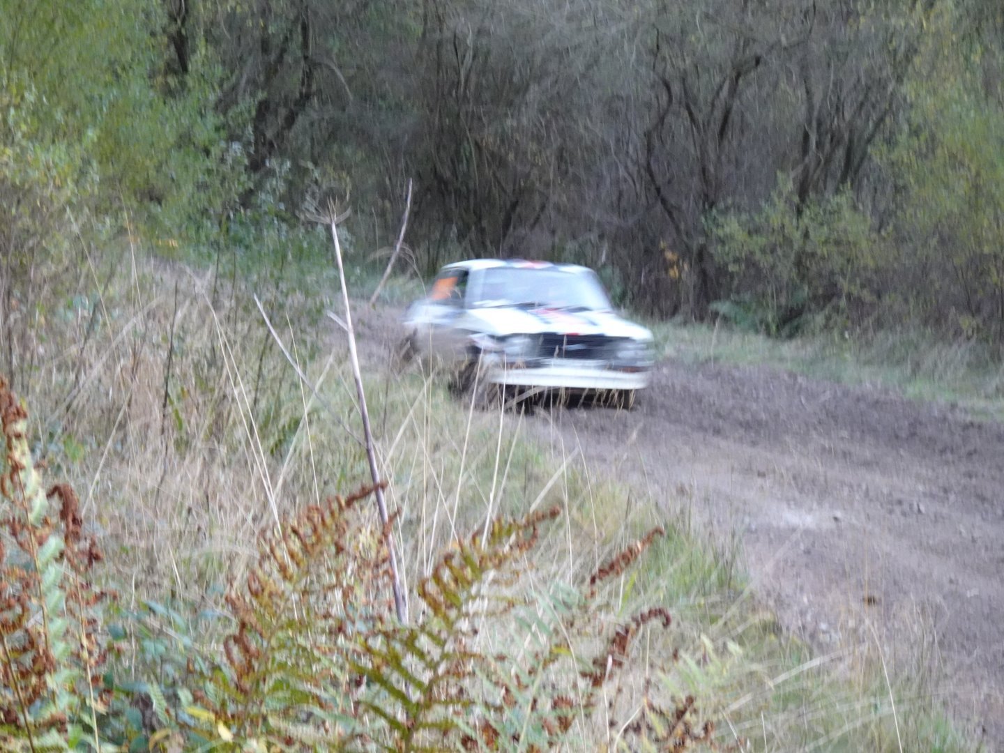 Selby and District Motor Club