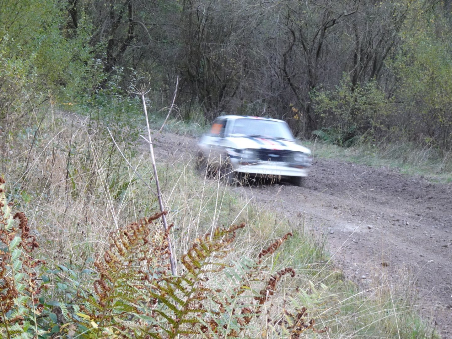 Selby and District Motor Club