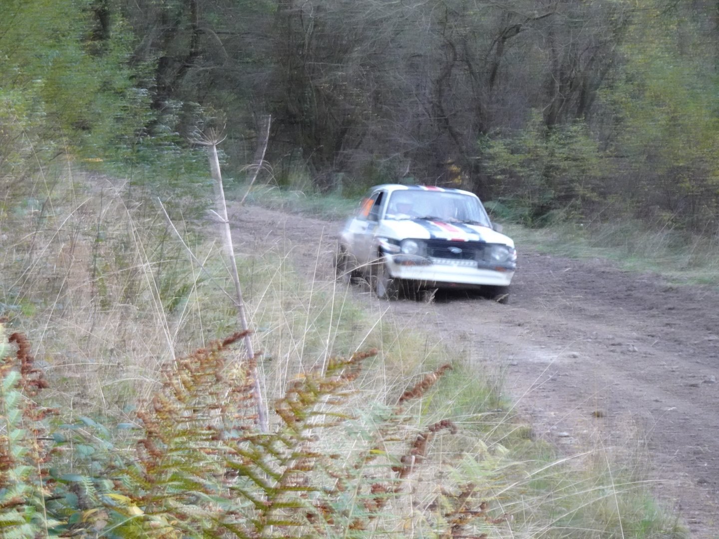 Selby and District Motor Club