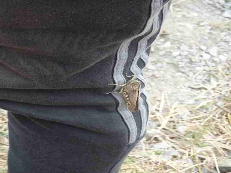 Selby and District Motor Club