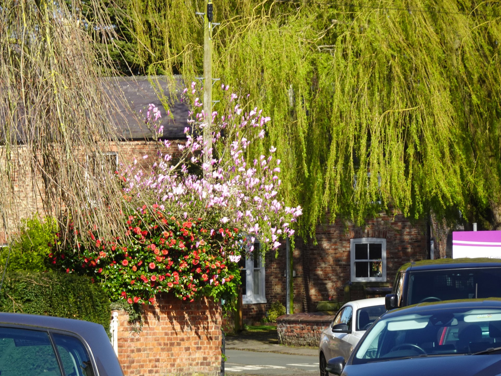 Selby and District Motor Club